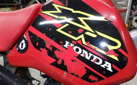 HONDA XR70R 2024 DE02