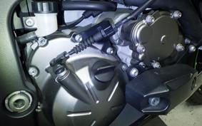 KAWASAKI NINJA ZX-6R A 2019 ZX636G