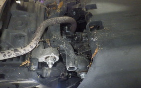 HONDA TACT Basket 2007 AF75