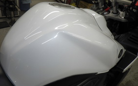 YAMAHA FZ1 FAZER 2010 RN21J
