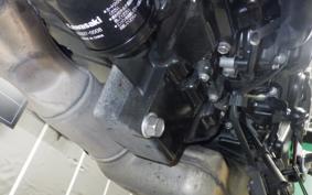 KAWASAKI Z900RS CAFE 2024 ZR900K