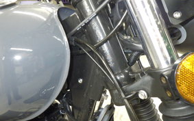 OTHER MUTT250 2021