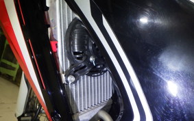 HONDA CRF250 RALLY LD 2013 MD44