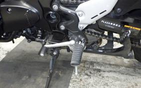 KAWASAKI Z900RS 2024 ZR900K