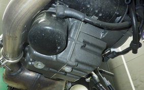 DUCATI MONSTER 937 + 2022