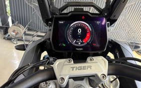 TRIUMPH TIGER GT EXPLORER 2022 TAP24V