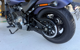 HARLEY FXBB 2026 YJ9