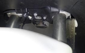 KAWASAKI ZX 1400 NINJA R A 2020