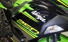 KAWASAKI NINJA 250 2 2023 EX250P