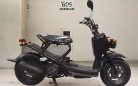 HONDA ZOOMER 2013 AF58