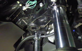 HONDA FORZA 250 2020 MF17