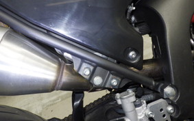 YAMAHA WR250X 2004 DG15J
