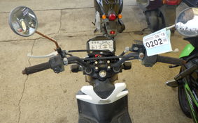 HONDA ZOOMER-X