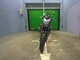 Фото Kawasaki ER400 N 2011 с японского аукциона