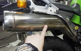 KAWASAKI SUPER SHERPA 2021 KL250G
