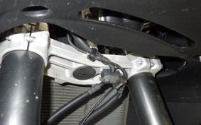 KAWASAKI NINJA 1000SX 2021 ZXT02K
