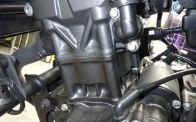 HONDA REBEL 250 A MC49