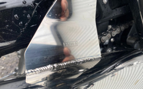 TRIUMPH BONNEVILLE T120 2024 DAD75H