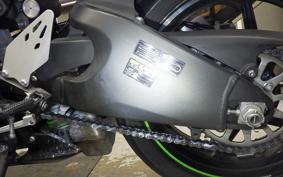 KAWASAKI NINJA ZX-6R A 2019 ZX636G