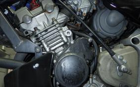 HONDA HORNET 250 2009 MC31