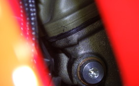DUCATI PANIGALE V4 S 2020