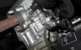 HONDA FAZE 1999 MF11