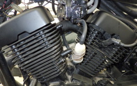 YAMAHA VIRAGO 250 3DM