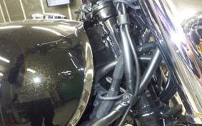 KAWASAKI W800 2025 EJ800E