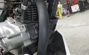 HONDA APE 50 2026 AC16