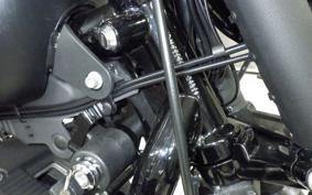 HARLEY XL883N 2015