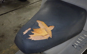 HONDA GYRO CANOPY TA02