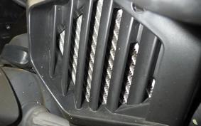 HONDA TACT Basket 2020 AF79