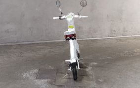 OTHER  BLAZE  SMART EV ..