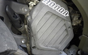 HONDA DUNK AF74