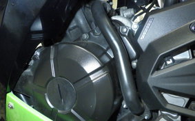 KAWASAKI NINJA 250 EX250L