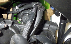 KAWASAKI ZX-4RR 2025 ZX400P