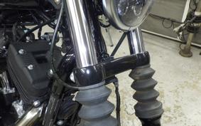HARLEY XL1200NS 2020