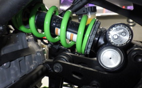 KAWASAKI ZX-4RR 2023 ZX400P