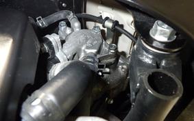 HONDA GIORNO 3 AF77