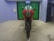Фото Ducati MHR900 1984 с японского аукциона