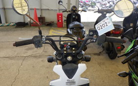 HONDA ZOOMER-X