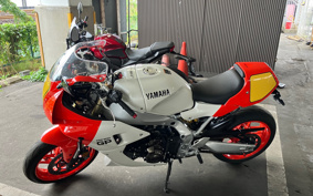 YAMAHA XSR900 GP 2024 RN96J