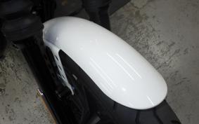 HARLEY XL1200NS 2018