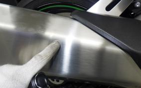 KAWASAKI NINJA 1000SX 2023 ZXT02K
