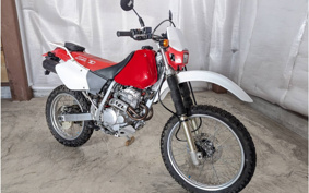 YAMAHA YZF-R25 RG74J