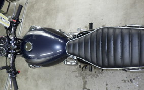 KAWASAKI W800 2023 EJ800E