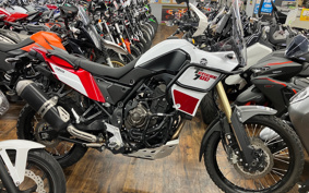 YAMAHA TENERE 700 2021 DM09J