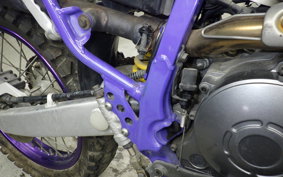 YAMAHA TT250R 2009 4GY