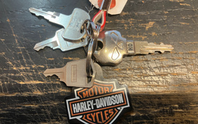 HARLEY XL1200L 2010 CX3