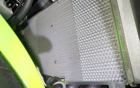 KAWASAKI ZX-4RR 2024 ZX400P